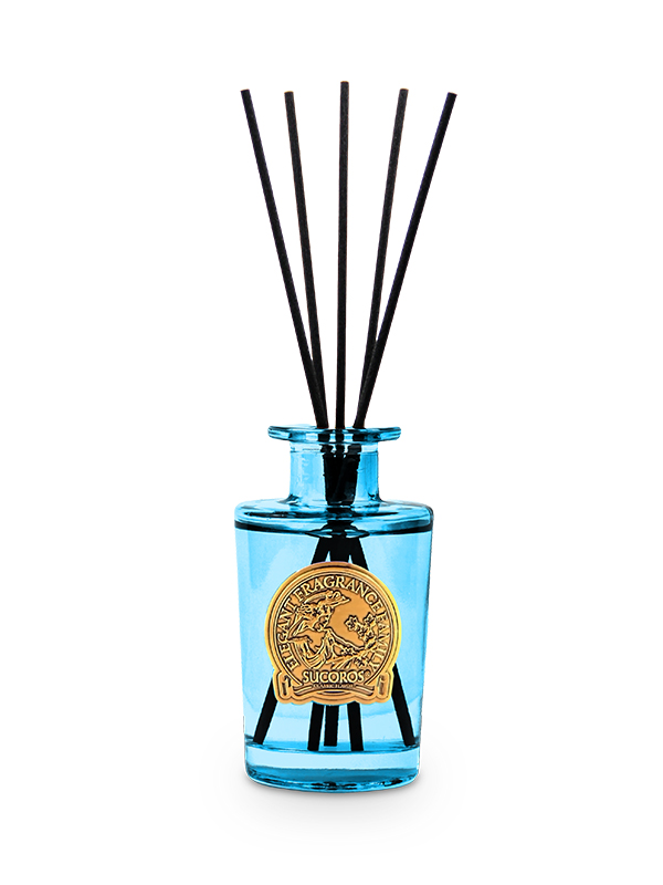 100ml Essential Oil Reed Diffuser